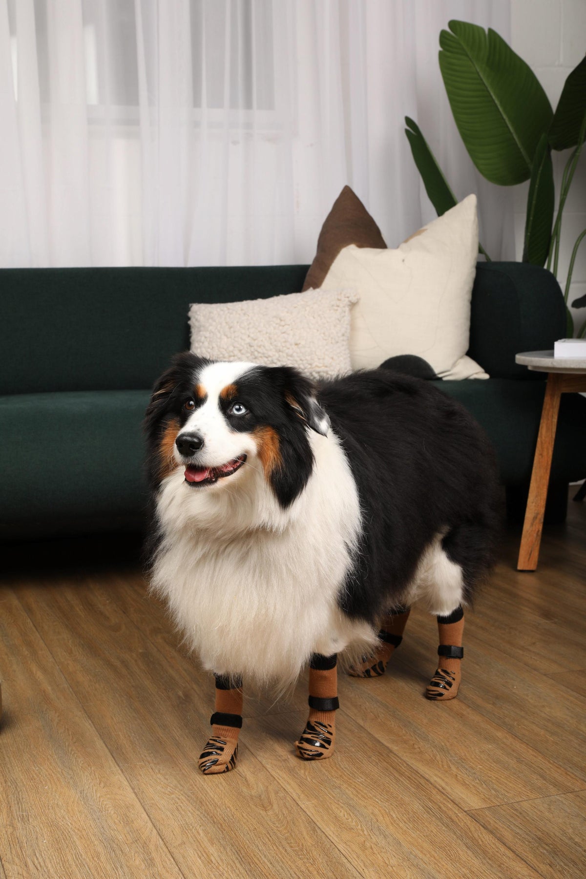 DOK TigerToes Premium Non-Slip Dog Socks