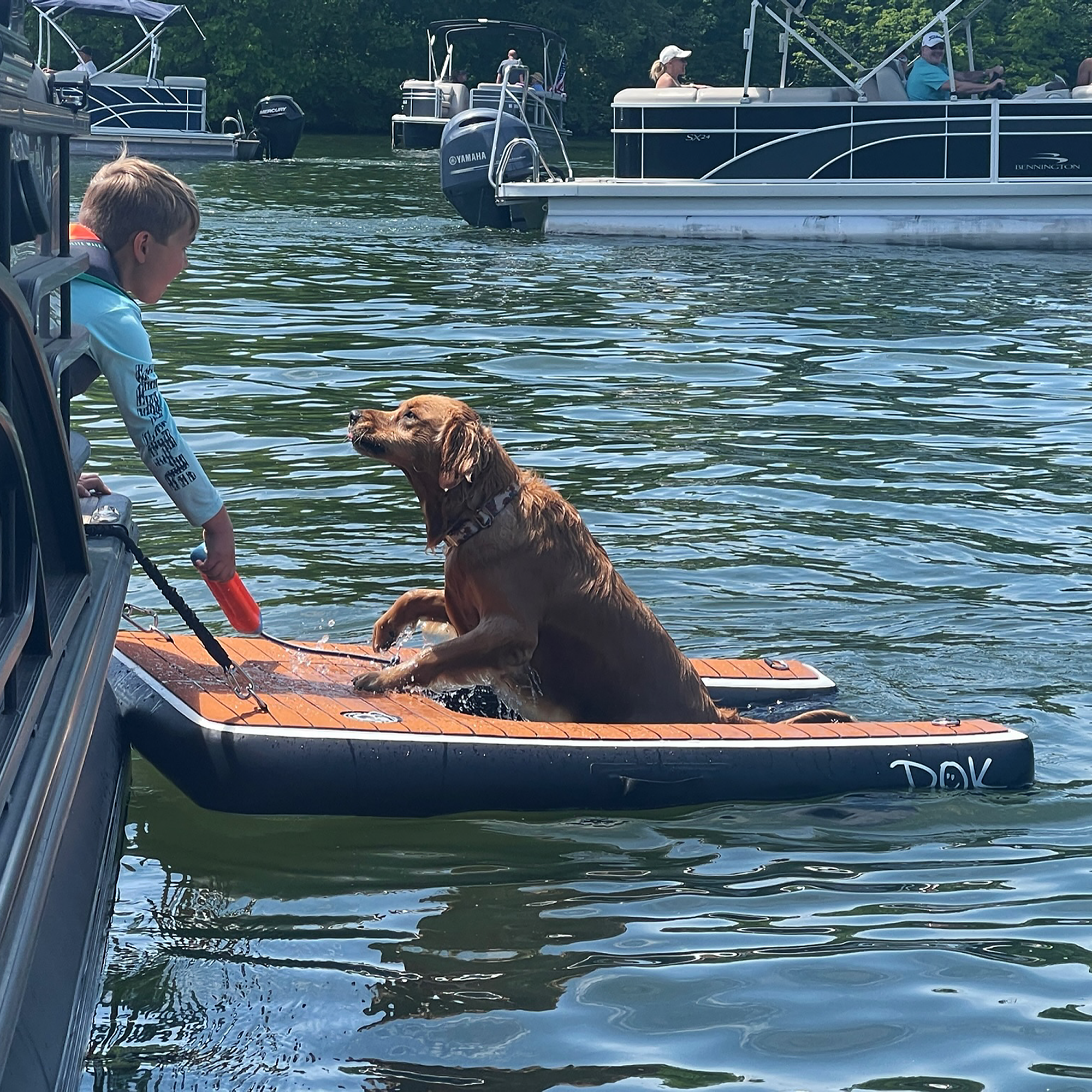 wet dog that's been swimming in the lake using the Dog-DOK as a pontoon dog ramp