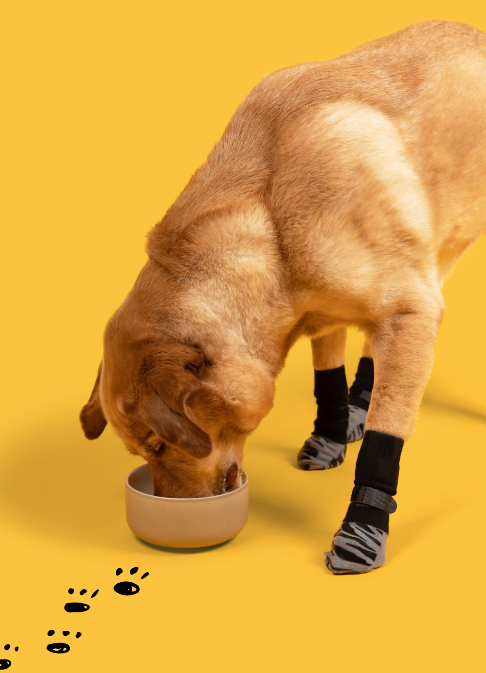 dog feeding out of bowl while wearing dog grip socks that prevent dog from licking paws