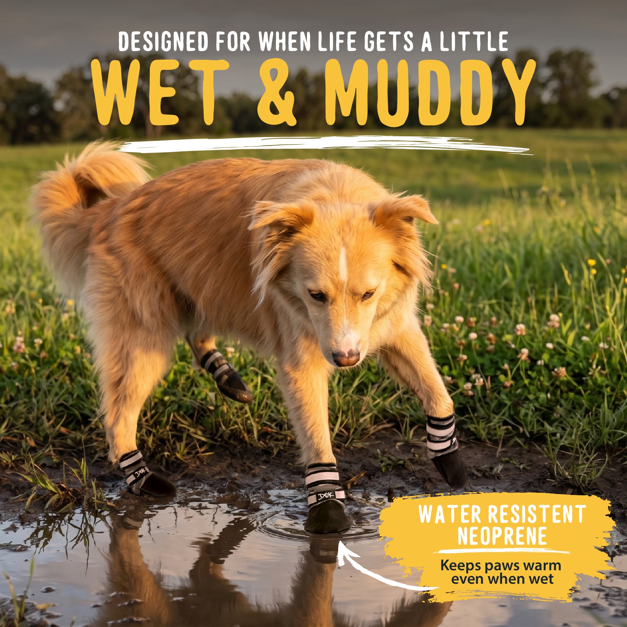 A golden retriever standing in a muddy puddle outdoors, wearing black paw boots with striped socks. Large text at the top reads 'DESIGNED FOR WHEN LIFE GETS A LITTLE WET & MUDDY,' and a yellow callout says 'WATER RESISTANT NEOPRENE Keeps paws warm even when wet.