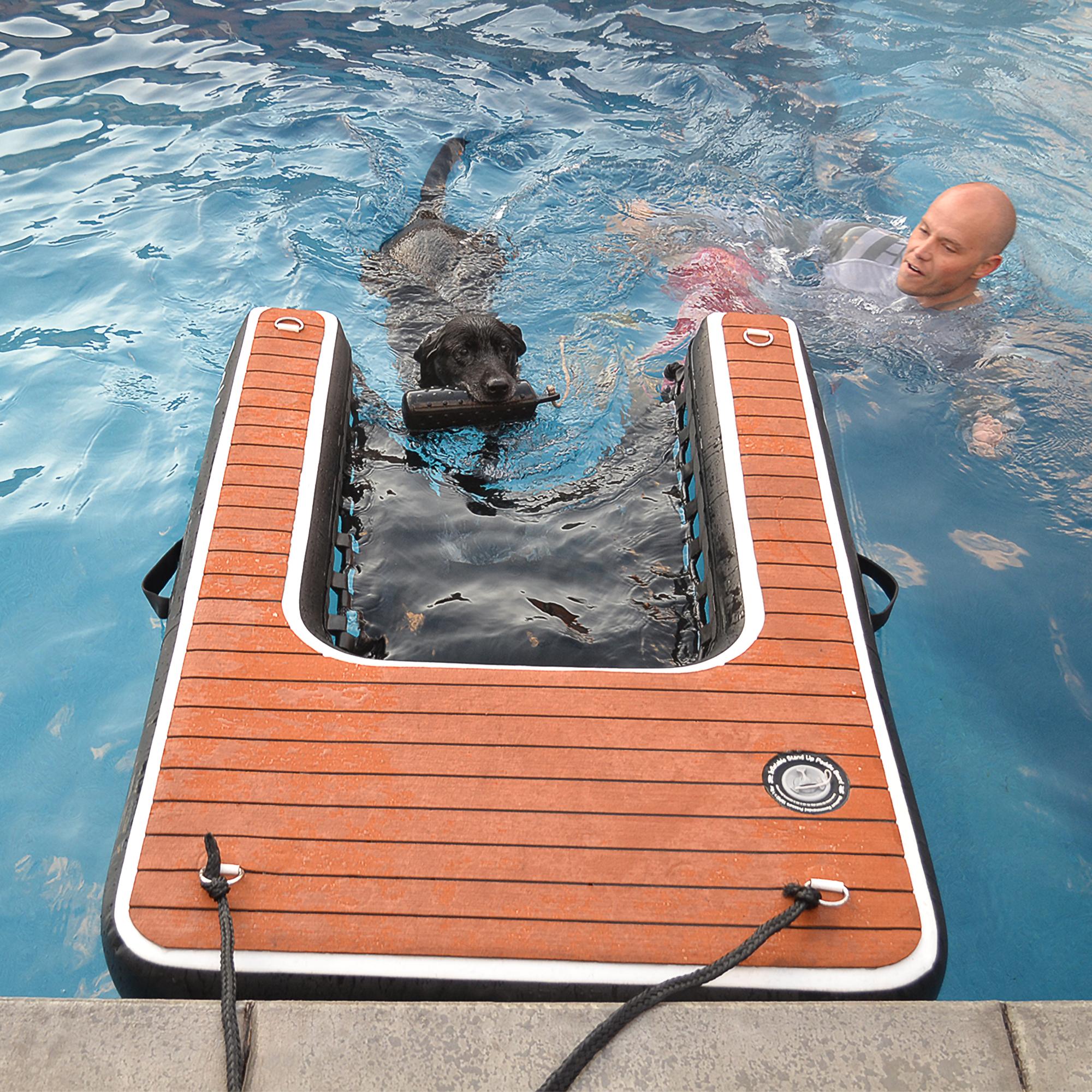 dog swimming up to use the dog pool ramp as a way to get safely out of the pool