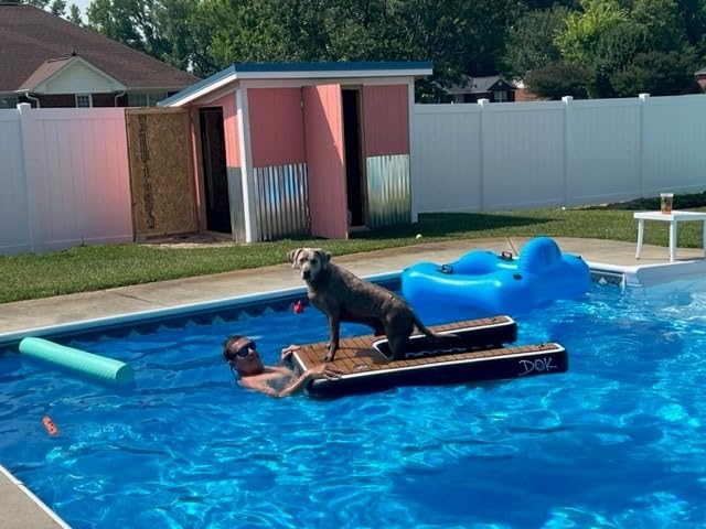dog swimming in pool sitting on the DOK dog pool ramp